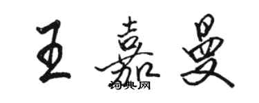 駱恆光王嘉曼行書個性簽名怎么寫