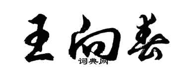 胡問遂王向春行書個性簽名怎么寫