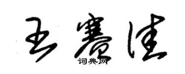朱錫榮王賽佳草書個性簽名怎么寫