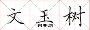 田英章文玉樹楷書怎么寫