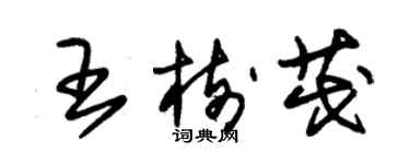 朱錫榮王樹茂草書個性簽名怎么寫