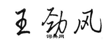 駱恆光王勁風行書個性簽名怎么寫
