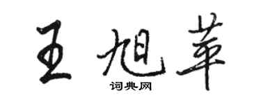 駱恆光王旭苹行書個性簽名怎么寫