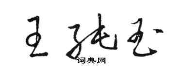 駱恆光王純玉草書個性簽名怎么寫