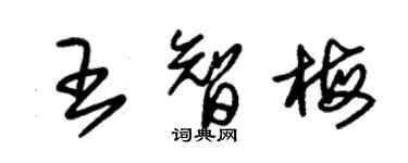 朱錫榮王智梅草書個性簽名怎么寫