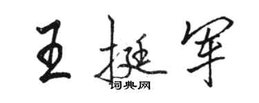 駱恆光王挺軍行書個性簽名怎么寫