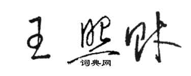 駱恆光王照財草書個性簽名怎么寫