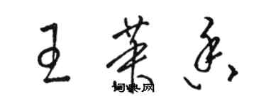 駱恆光王茉香草書個性簽名怎么寫