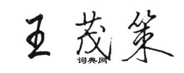 駱恆光王茂策行書個性簽名怎么寫