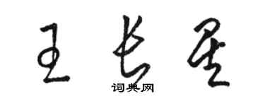 駱恆光王長星草書個性簽名怎么寫