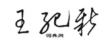 駱恆光王紀新草書個性簽名怎么寫