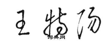 駱恆光王特陽草書個性簽名怎么寫