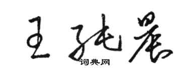 駱恆光王純晨草書個性簽名怎么寫