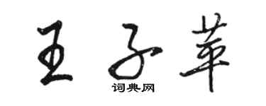 駱恆光王子苹行書個性簽名怎么寫