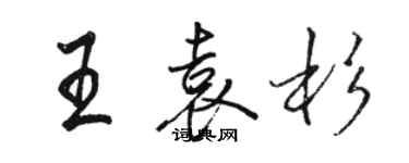 駱恆光王袁杉行書個性簽名怎么寫