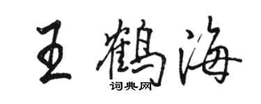 駱恆光王鶴海行書個性簽名怎么寫