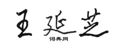 駱恆光王延芝行書個性簽名怎么寫