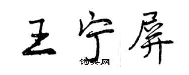 曾慶福王寧屏行書個性簽名怎么寫