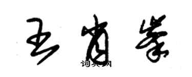 朱錫榮王肖峰草書個性簽名怎么寫