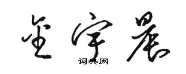 駱恆光金宇晨草書個性簽名怎么寫