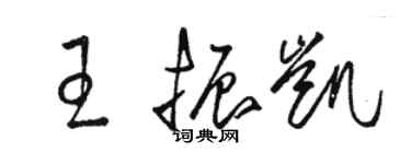 駱恆光王振凱草書個性簽名怎么寫