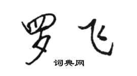 駱恆光羅飛行書個性簽名怎么寫