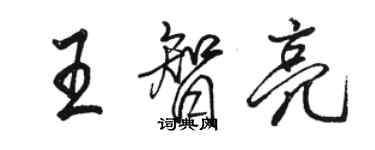 駱恆光王智亮行書個性簽名怎么寫