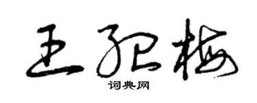 曾慶福王紀梅草書個性簽名怎么寫