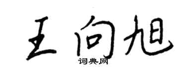 王正良王向旭行書個性簽名怎么寫