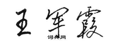 駱恆光王軍霞行書個性簽名怎么寫