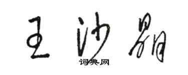 駱恆光王沙晶草書個性簽名怎么寫