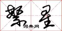 朱錫榮繁星草書怎么寫