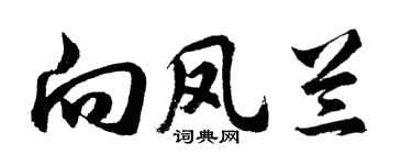 胡問遂向鳳蘭行書個性簽名怎么寫