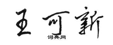 駱恆光王可新行書個性簽名怎么寫