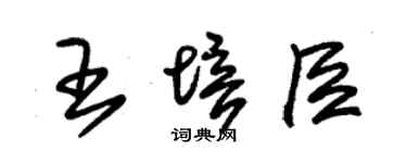 朱錫榮王培臣草書個性簽名怎么寫