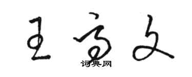 駱恆光王高文草書個性簽名怎么寫