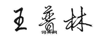 駱恆光王普林行書個性簽名怎么寫