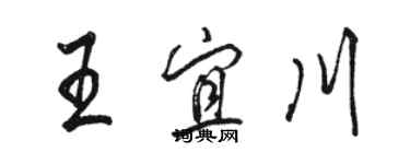 駱恆光王宜川行書個性簽名怎么寫