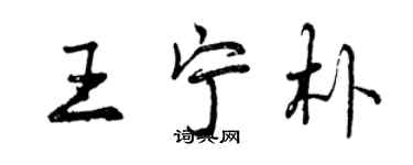 曾慶福王寧朴行書個性簽名怎么寫