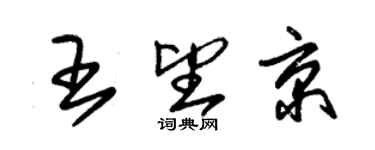 朱錫榮王望京草書個性簽名怎么寫