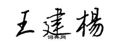 王正良王建楊行書個性簽名怎么寫