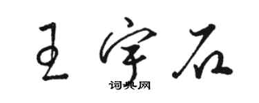 駱恆光王宇石草書個性簽名怎么寫