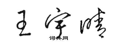 駱恆光王宇晴草書個性簽名怎么寫