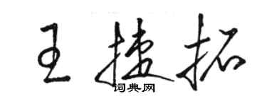 駱恆光王捷拓草書個性簽名怎么寫