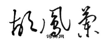 駱恆光胡鳳蘭草書個性簽名怎么寫