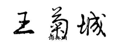 曾慶福王菊城行書個性簽名怎么寫