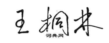 駱恆光王桐林草書個性簽名怎么寫