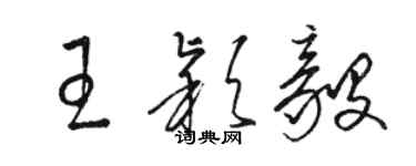 駱恆光王穎毅草書個性簽名怎么寫