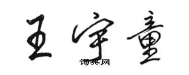 駱恆光王宇童行書個性簽名怎么寫