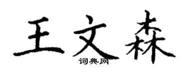 丁謙王文森楷書個性簽名怎么寫